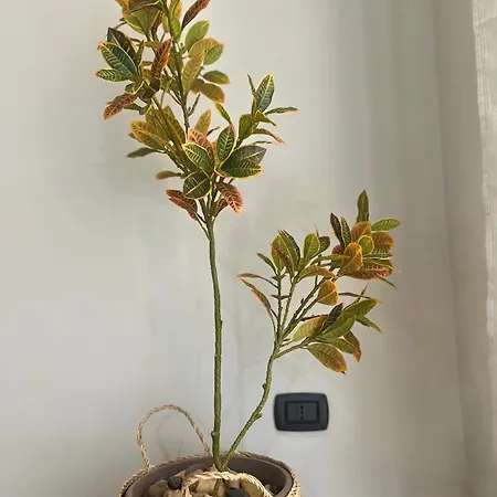 Lolo House-55sqm Near Station Apartment *